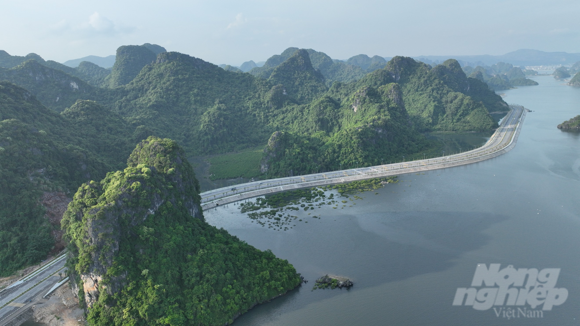 canh-quan-hung-vi-duong-bao-bien-dep-bac-nhat-viet-nam-232348_909-232349.jpg