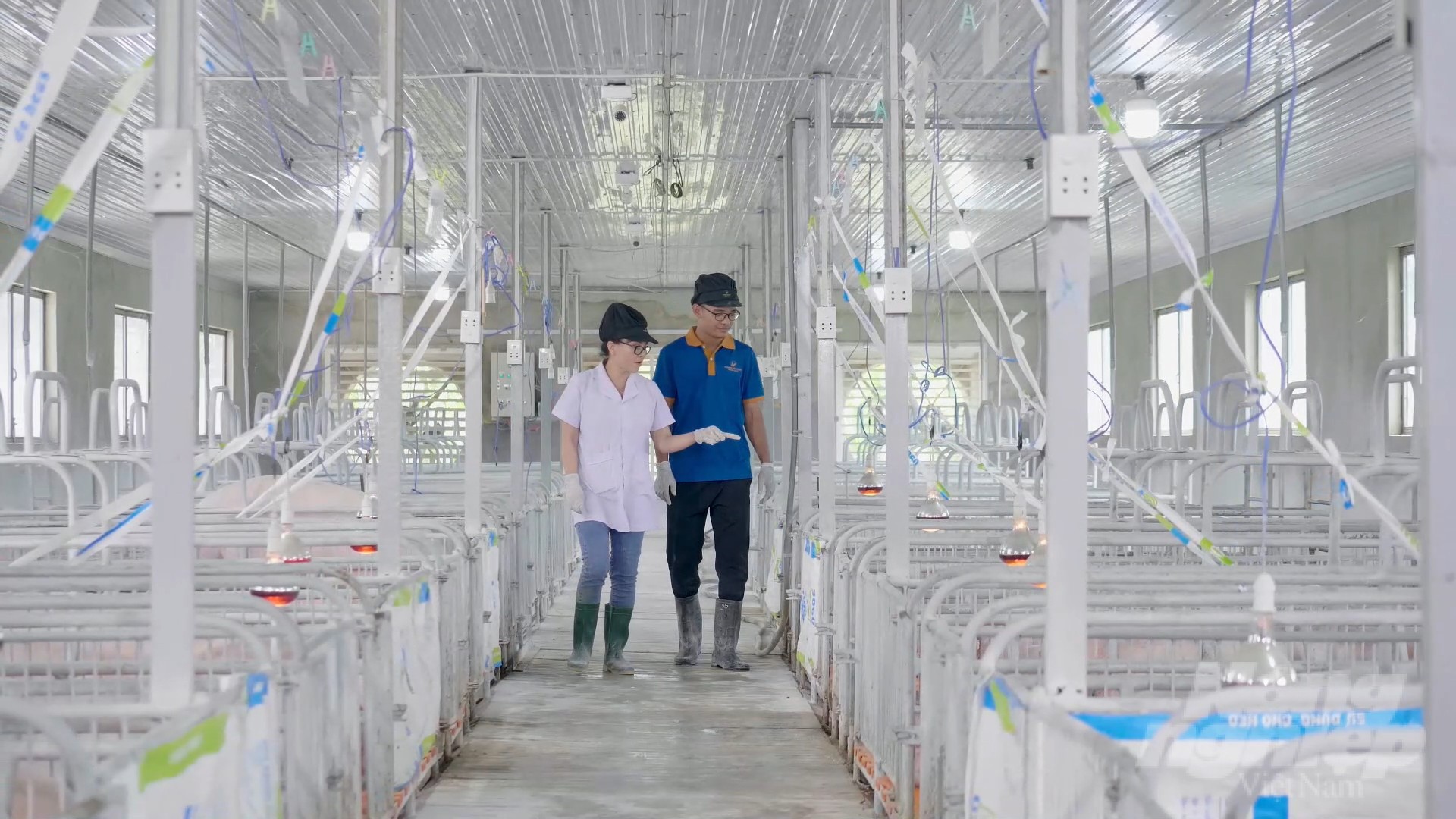 Dong Nai pays special attention to supporting production linkage chains, but the implementation still has many obstacles, especially the disbursement of support capital. Photo: Le Binh.