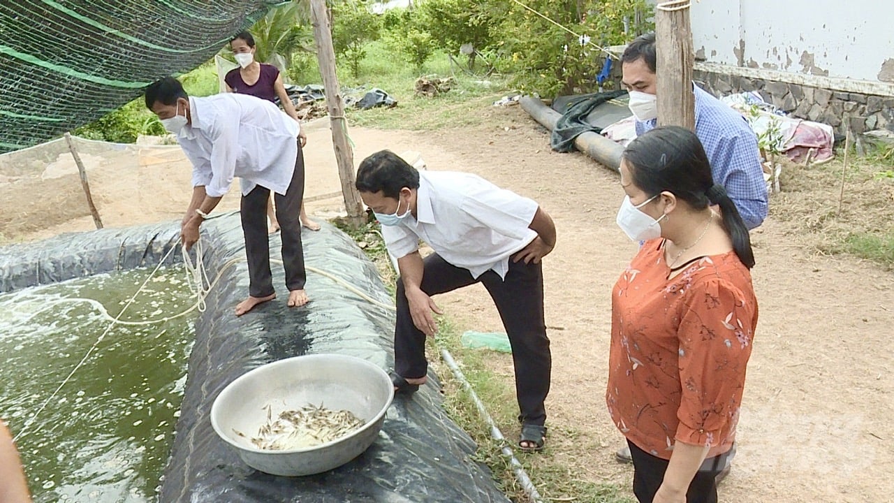tang-cuong-can-bo-huong-dan-ho-nuoi-tom-phong-benh-083504_375-083504.jpg Cán bộ thú y Trà Vinh tăng cường sự hiện diện để hướng dẫn người nuôi tôm về các biện pháp phòng tránh bệnh. Ảnh: Hồ Thảo.