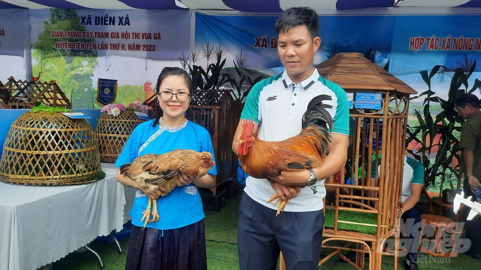 z4617537222312_26e7b35e805e7a339580d82461cabce0-161320_755-161320.jpg Du khách và người dân có thể thưởng thức cuộc thi vua gà, thi đôi gà đẹp, thi gà trống thiến đẹp. Đã có 20 đội thi tới từ các HTX, trang trại chăn nuôi gà được cấp chứng nhận nhãn hiệu 'Gà Tiên Yên' với số lượng từ 500 con trở lên trên địa bàn huyện tham dự. Ảnh: Nguyễn Thành.