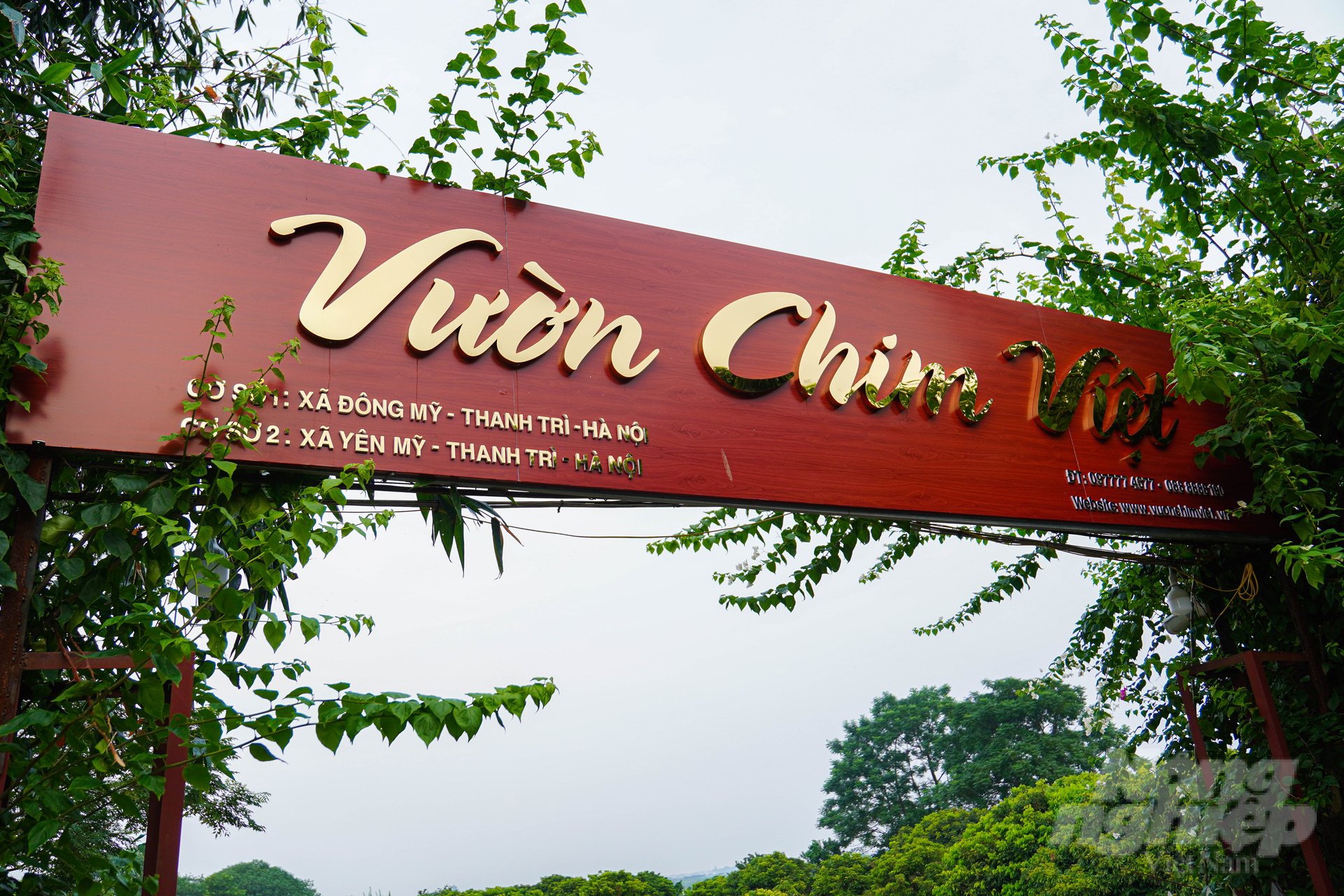 Anh Trần Nhữ Giáp (sinh năm 1984) là người đam mê vật nuôi làm cảnh. Dự án Vườn Chim Việt được anh ấp ủ triển khai với diện tích hơn 20.000m2 tại Đông Mỹ, Thanh Trì (Hà Nội).