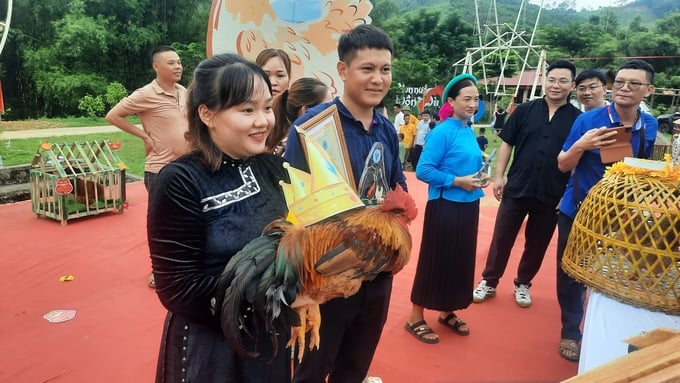 hoi-thi-vua-ga-co-mot-khong-hai-o-dat-mo-211211_487.jpg Sau nhiều giờ chấm thi căng thẳng, Ban giám khảo đã trao danh hiệu Hoa hậu gà Tiên Yên cho đội xã Đại Dực và Vua gà Tiên Yên cho đội xã Điền Xá. Ảnh: Nguyễn Thành.