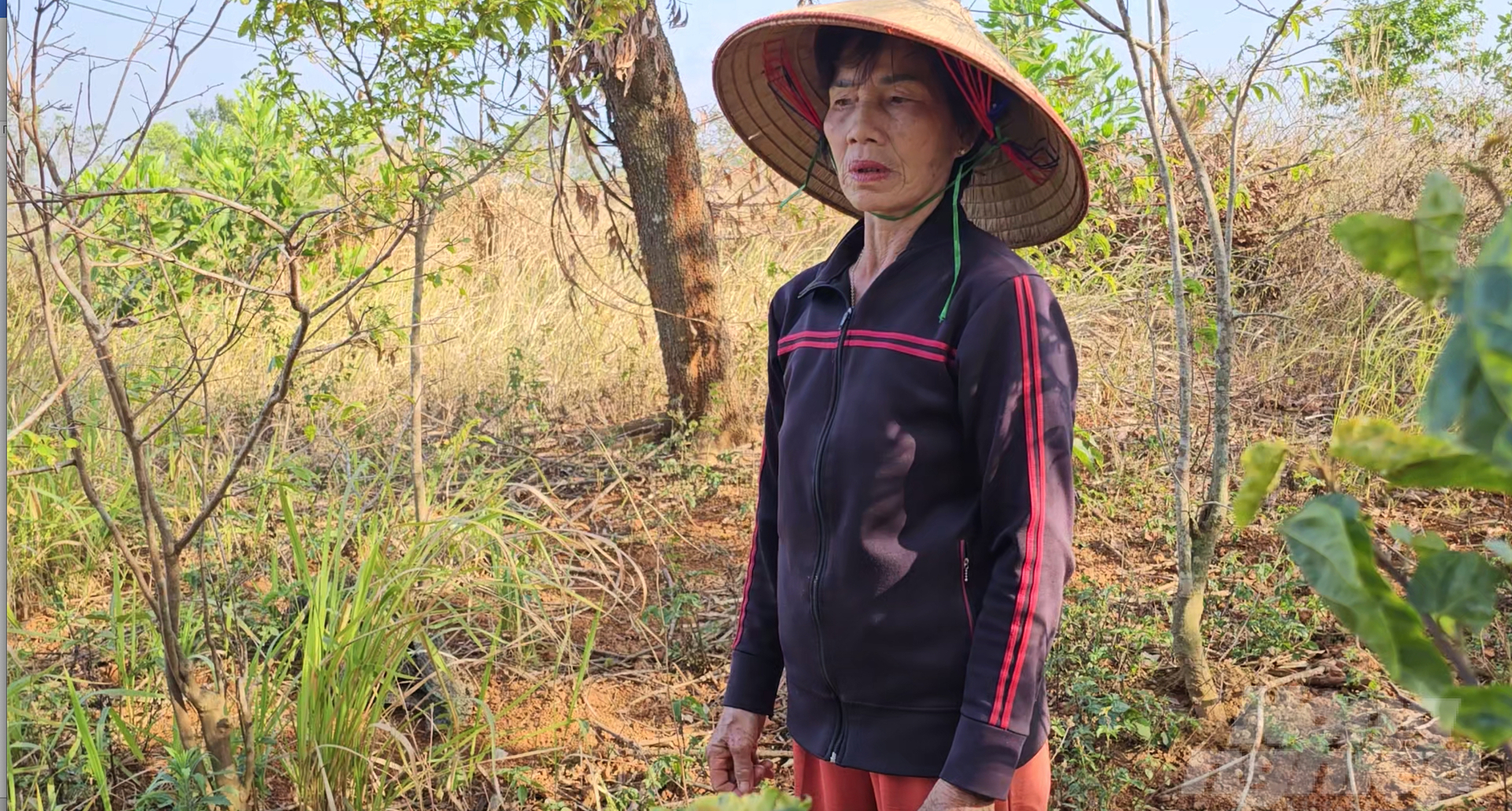 Bà Phạm Thị Phi Khanh: 'Họ cấp đất cho gia đình tôi mà lại cấp chồng lấn lên đất nhà người khác nên đến giờ tôi vẫn chưa có đất'. Ảnh: Phúc Lập.