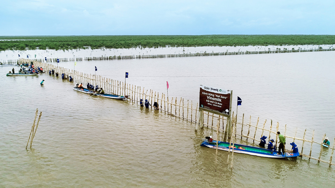 Gaia, Vinamilk cùng Vườn quốc gia Mũi Cà Mau khoanh nuôi 25ha rừng.