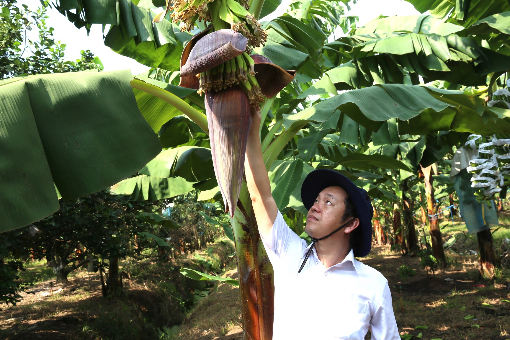 Mô hình 'trường trong farm', 'farm trong trường' của Unifarm đem lại hiệu quả rõ rệt.