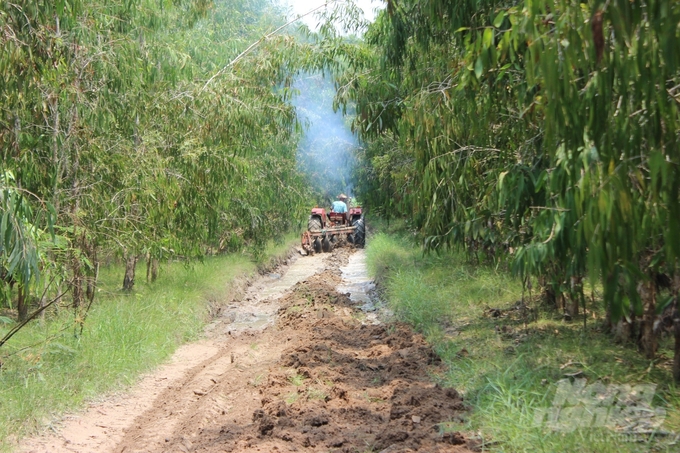 Ông Ten đưa máy móc vào làm đường băng cản lửa để phòng chống cháy rừng. Ảnh: Trần Trung.