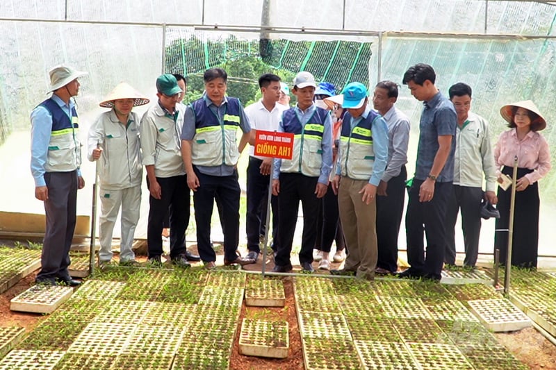 c0169t01-163459_654-163500.jpg Ông Lê Quốc Thanh, Giám đốc Trung tâm Khuyến nông Quốc gia (thứ 4 từ trái sang) trong một lần làm việc cùng thành viên các tổ khuyến nông cộng đồng tại tỉnh Quảng Trị. Ảnh: Võ Dũng.