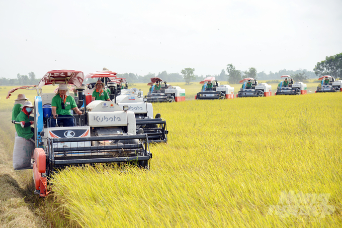 dan-may-gat-cua-loc-troi-tren-canh-dong-lua-di-eu-154903_541-154904.jpg Dàn máy gặt của Tập đoàn Lộc Trời trên cánh đồng lúa đi EU.