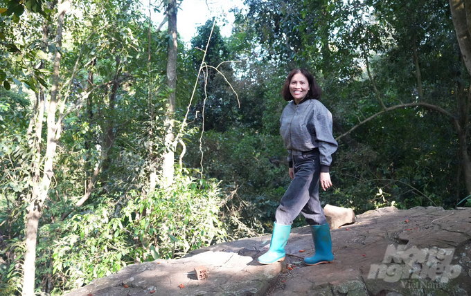 dsc02323-231353_184-231354.jpg Với đôi ủng bảo hộ dưới chân và chiếc áo khoác bảo hộ, chị Thái có thể xuyên rừng cả ngày, không thua 'đấng mày râu'. Ảnh: Phúc Lập.