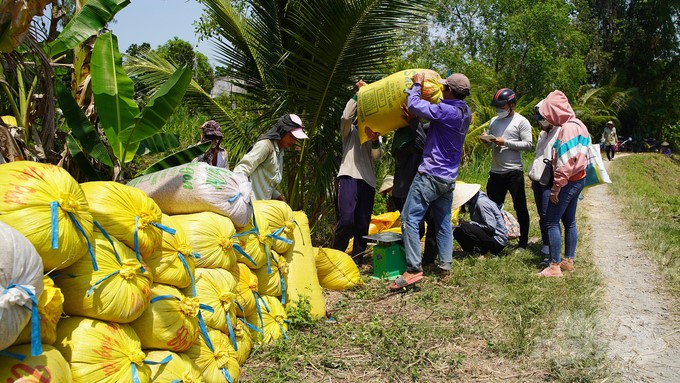 According to statistics, on average nationwide, a cooperative has 192 members. Particularly in the Southern region, a cooperative has fewer than 100 members. Photo: Dang Tuan Anh.