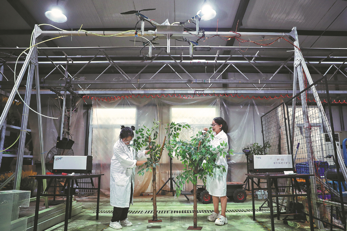 Two students tie test cards to small trees at the China Agricultural University's school of unmanned systems for agriculture in Beijing. They are experimenting to gauge different wind fields in drone operations. Photo:  Xue Jun/For China Daily