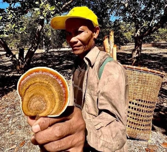 Ông K'Sơ đã đi vào rừng Cát Tiên nhiều ngày nay chưa thấy quay về nhà. Ảnh: Cơ quan chức năng cung cấp.