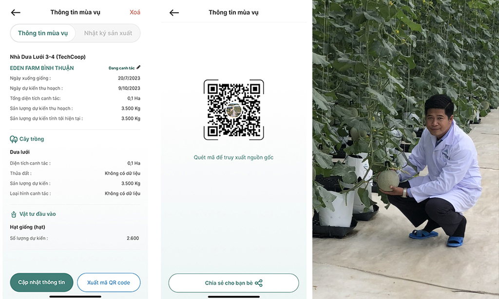 Nông dân có thể xuất mã QRCode để truy xuất nguồn gốc từ Tab Mùa Vụ trên ứng dụng.