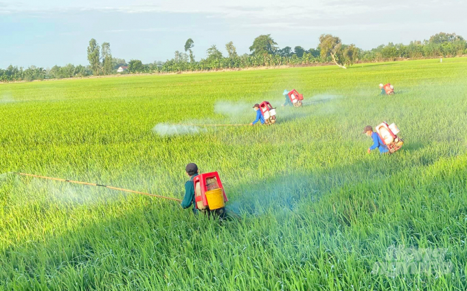 Hình ảnh thường thấy, phun thuốc trừ sâu khi đến vụ. Ảnh: NNVN. 
