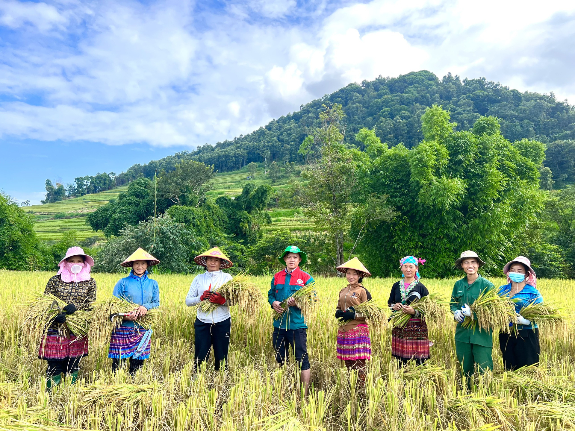 Bà con vùng cao phấn khởi vì mô hình lúa Tẻ Râu hữu cơ cho năng suất, giá bán cao hơn so với sản xuất truyền thống. Ảnh: Huy Bình.
