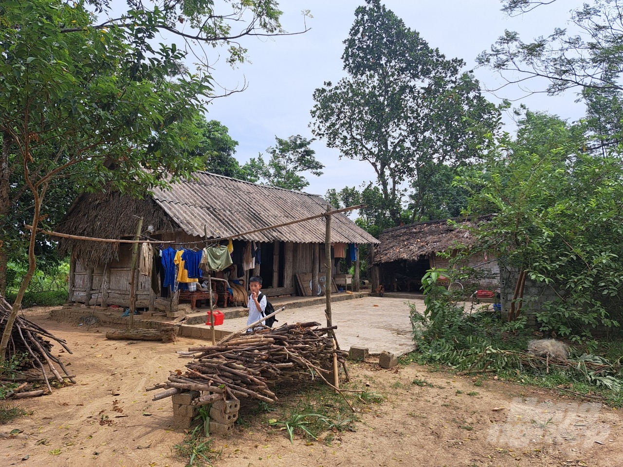 d-095925_324-095925.jpg Một số hộ dân sống cạnh hồ Yên Mỹ đang sống trong cảnh tạm bợ. Ảnh: Quốc Toản.
