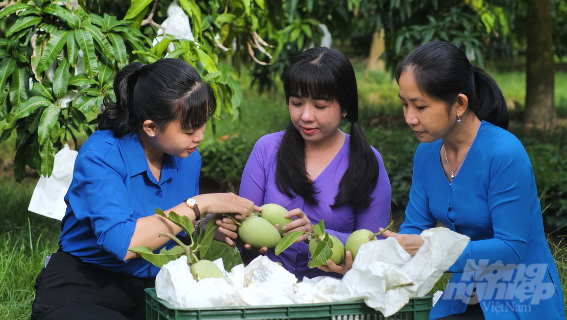 anh-chup-man-hinh-2023-09-11-luc-162642-163020_176-163021.jpeg Việc canh tác đúng quy trình 'chuẩn' là một yếu tố quan trọng để sản phẩm trái cây Việt Nam có chỗ đứng ở những thị trường khó tính.
