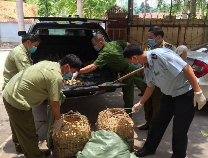 cac-luc-luong-tien-hanh-xu-ly-hang-160016904379626657209-141302_834.jpg Bộ NN-PTNT đề nghị tỉnh Quảng Ninh tăng cường kiểm soát vận chuyển, buôn bán trái phép gia cầm, sản phẩm gia cầm qua biên giới.