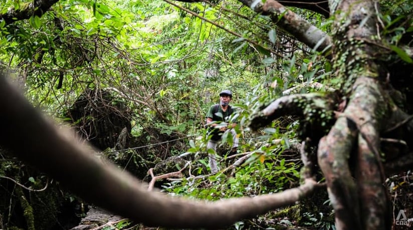 A ranger at Masungi Georeserve, a crucial ecosystem close to Manila that has been at the centre of a violent land dispute. Photo: Jack Board
