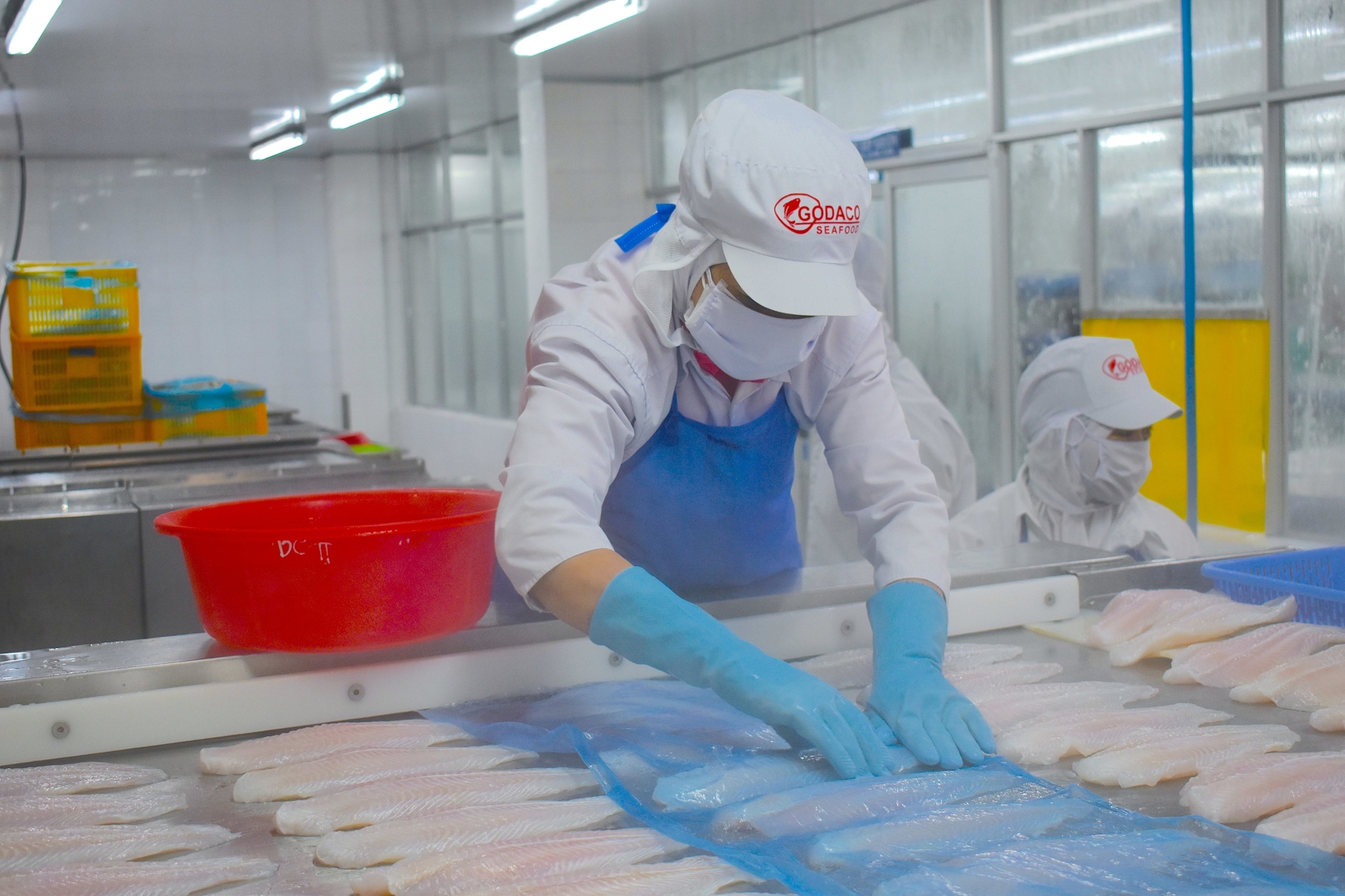 The agricultural market is an issue of surplus supply.