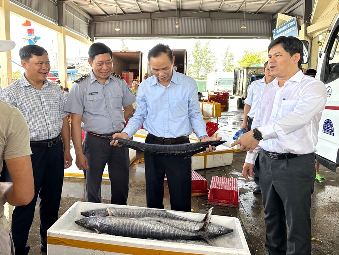 Deputy Minister Phung Duc Tien has suggested Quang Ngai province to promptly address the existing limitations and coordinate to remove the 'yellow card' issued by the European Commission. Photo: Le Khanh.