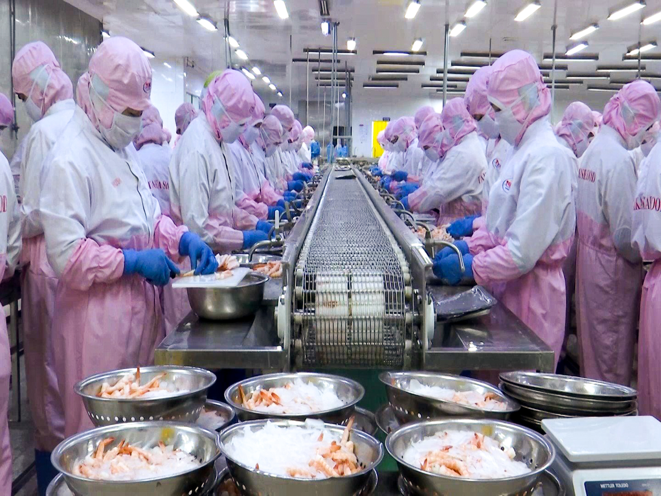 Credit to the rice and fisheries sectors has seen impressive growth, outstanding loans to the fisheries sector reached nearly VND 129 trillion, an increase of 8.5%, and the rice sector reached nearly VND 103 trillion, an increase of 9% compared to 2022. Photo: Kim Anh.