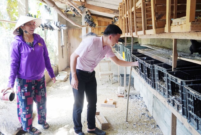 Phát triển nghề nuôi chim bồ câu đã giúp gia đình chị Phương có thu nhập cao và ổn định. Ảnh: T. Phùng.
