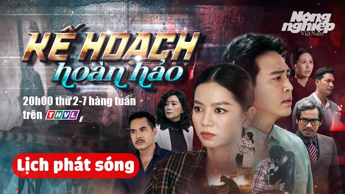 Thông tin chi tiết về lịch chiếu bộ phim Kế hoạch hoàn hảo trên kênh THVL1