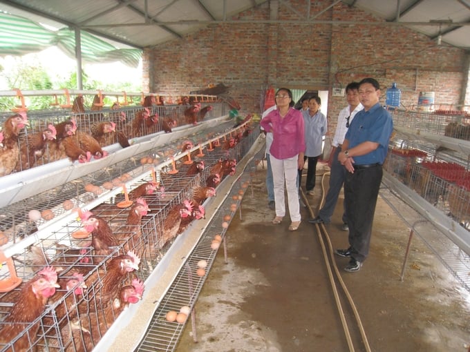 ung-dung-cong-nghe-so-nuoi-ga-sinh-san-giai-phap-dot-pha-cho-nong-dan-144732_132.jpg Công nghệ chăn nuôi tự động có triển vọng áp dụng rộng rãi tại Hải Phòng. Ảnh: Đinh Mười.