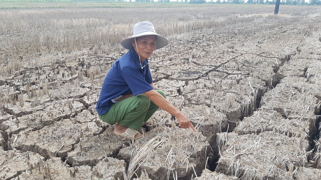 z3974297672966_6648541e291d2782dc5c4f95d329ba66-114731_70.jpg Mùa khô diễn ra khốc liệt trong một số năm gần đây tại ĐBSCL. Ảnh: Trọng Linh.