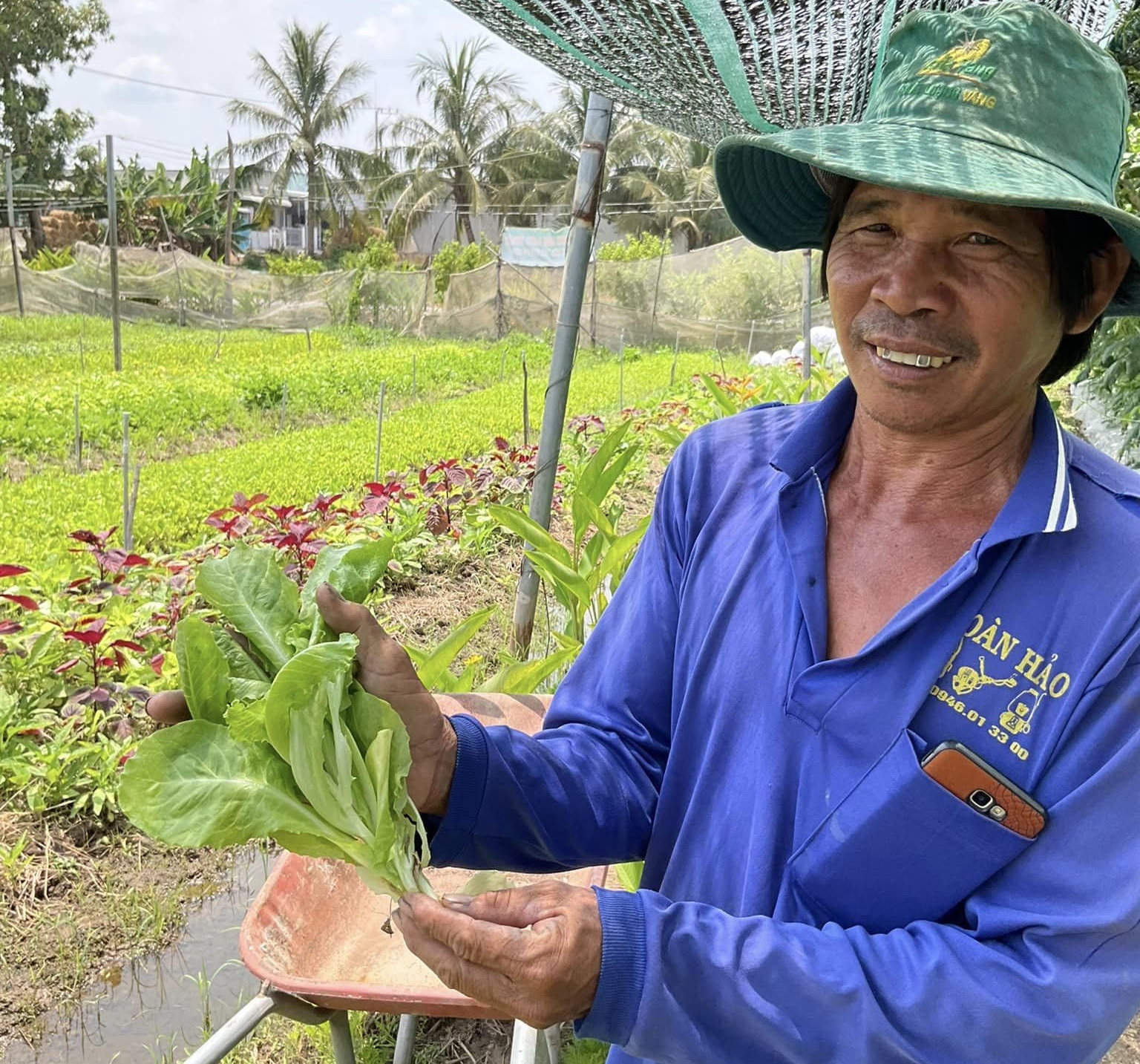 Nông dân huyện Hồng Ngự tham gia dự án Phát triển nông nghiệp hữu cơ PGS Đồng Tháp.