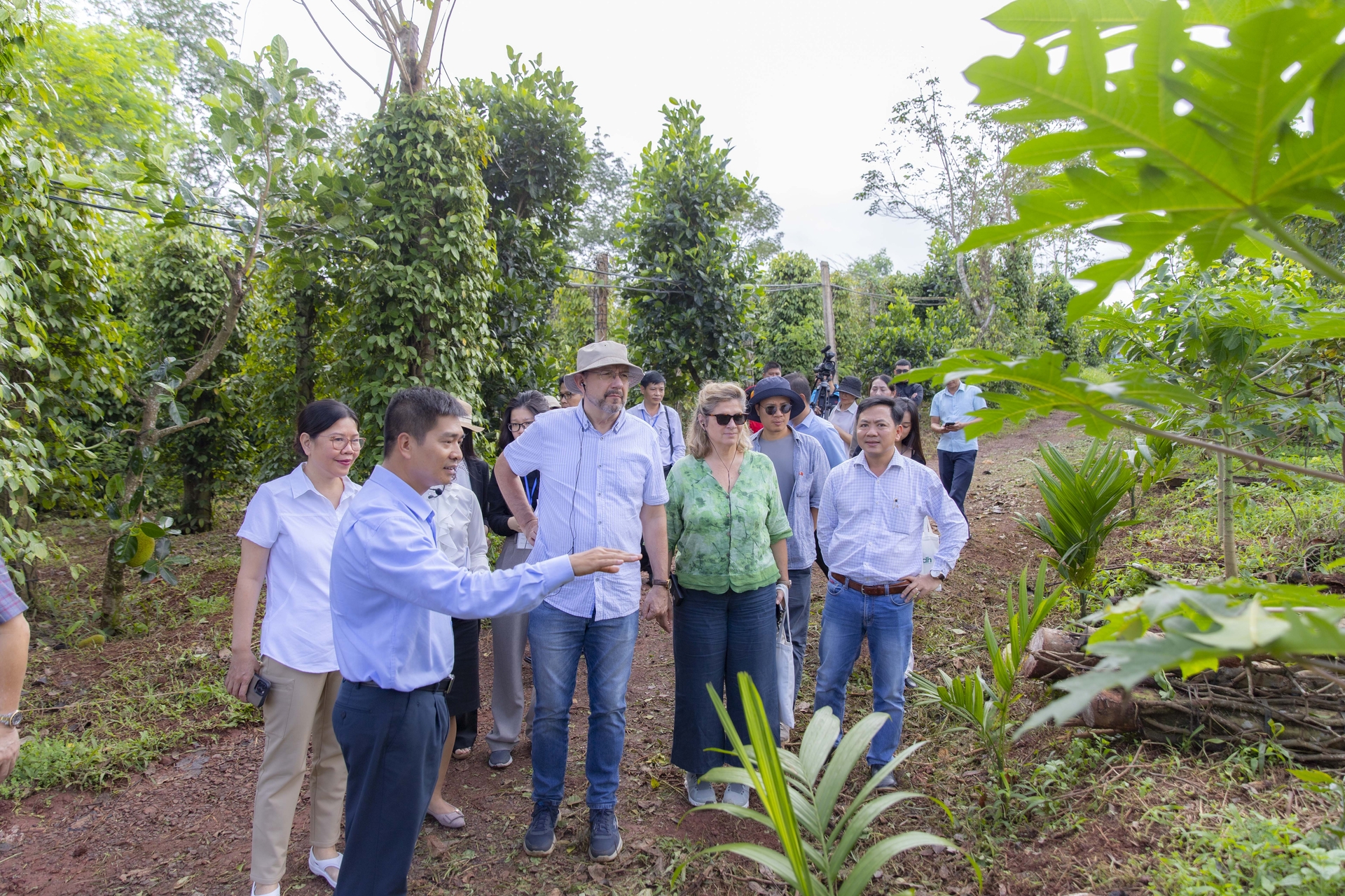 Đại sứ Thomas Gass chia sẻ: 'HTX đóng vai trò quan trọng trong việc củng cố năng lực, trao quyền và tăng cường sự tham gia của các nhà sản xuất cà phê nhỏ lẻ'. 