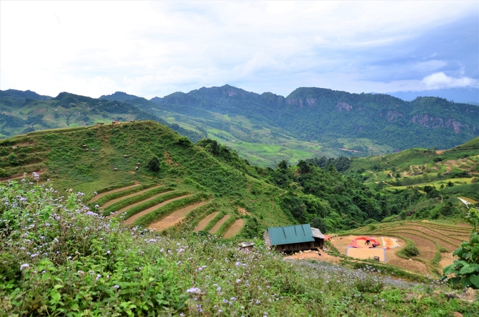 68-171353_646.jpg Túp lều nương của vợ chồng Tờ. Ảnh: Dương Đình Tường.