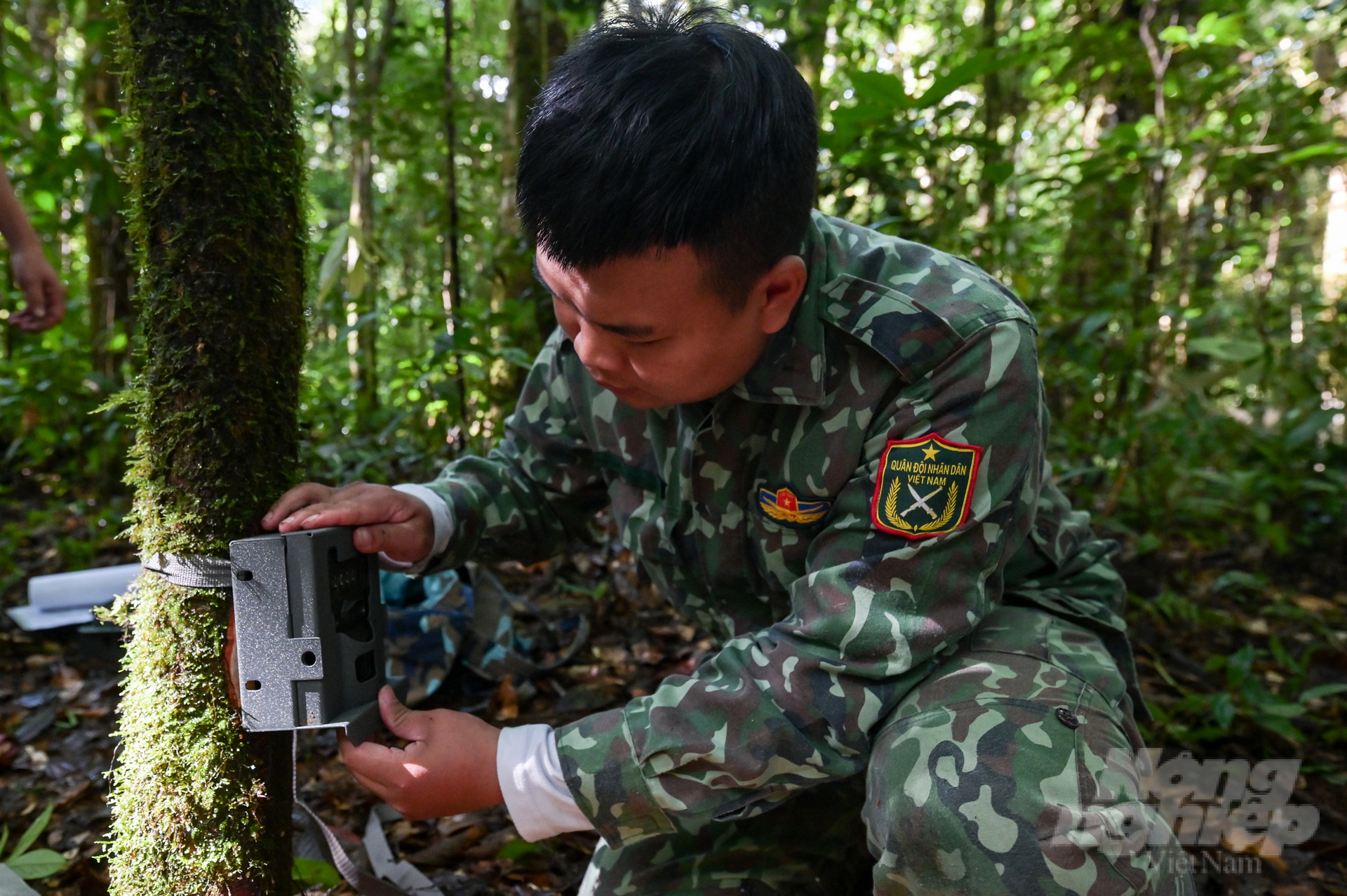 bay-anh-7-231523_860-231524.jpg