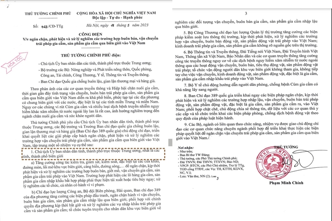 ga-tau-tung-hoanh-trach-nhiem-cua-chu-tich-ubnd-tinh-lang-son-o-dau-121213_347.jpg Tại Công điện số 426/CĐ-TTg, Thủ tướng Chính phủ yêu cầu Chủ tịch UBND các tỉnh, thành phố trực thuộc trung ương, nhất là các tỉnh, thành phố biên giới chủ động chỉ đạo, triển khai quyết liệt các giải pháp cấp bách ngăn chặn, phát hiện và xử lý nghiêm các trường hợp vận chuyển trái phép gia cầm, sản phẩm gia cầm qua biên giới vào Việt Nam. Ảnh: PV.