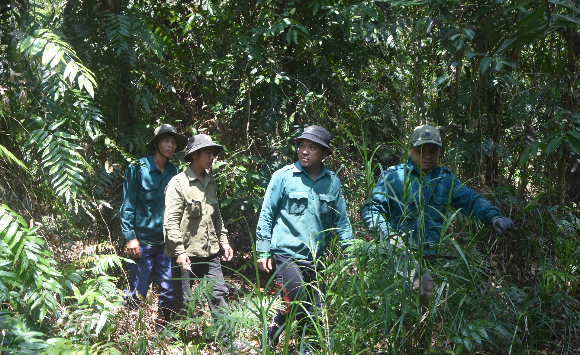 Silent soldiers guarding the forest, they take turns being on duty 24/7 and have the most important task of 'watching out for fire', patrolling to detect and prevent acts of sabotage and hunting of wild animals. Photo: Trong Linh.