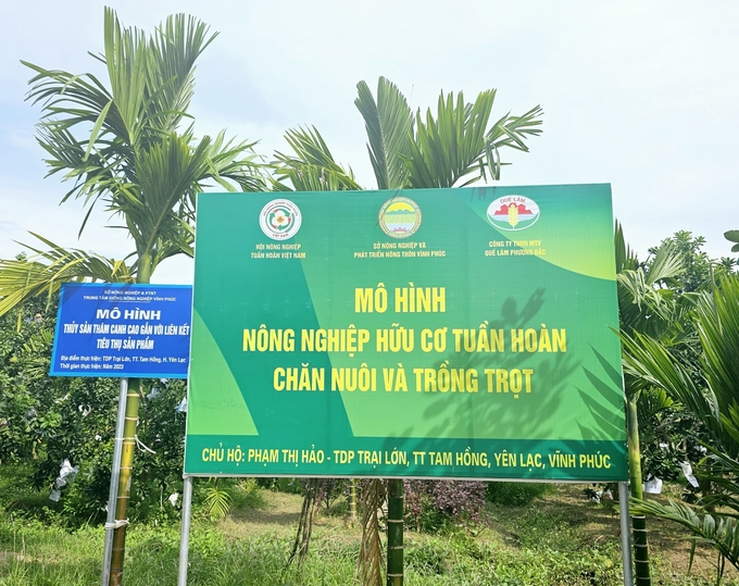 Những mô hình liên kết sản xuất giữa Tập đoàn Quế Lâm với nông dân đã lan tỏa nông nghiệp tuần hoàn ở Vĩnh Phúc. Ảnh: Hoàng Anh.