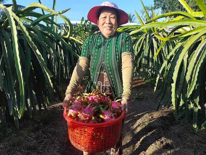 Ngành Nông nghiệp tỉnh Tiền Giang tổ chức lại sản xuất, phát động hợp tác tiêu thụ. Ảnh: Minh Đảm.