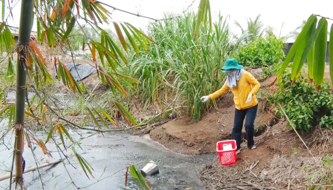 Nước thải chăn nuôi bị thải trộm ra sông suối hoặc sự cố tràn do trời mưa... gây ô nhiễm môi trường nghiêm trọng, ảnh hưởng đến mọi mặt đời sống của người dân. Ảnh: Lê Bình.