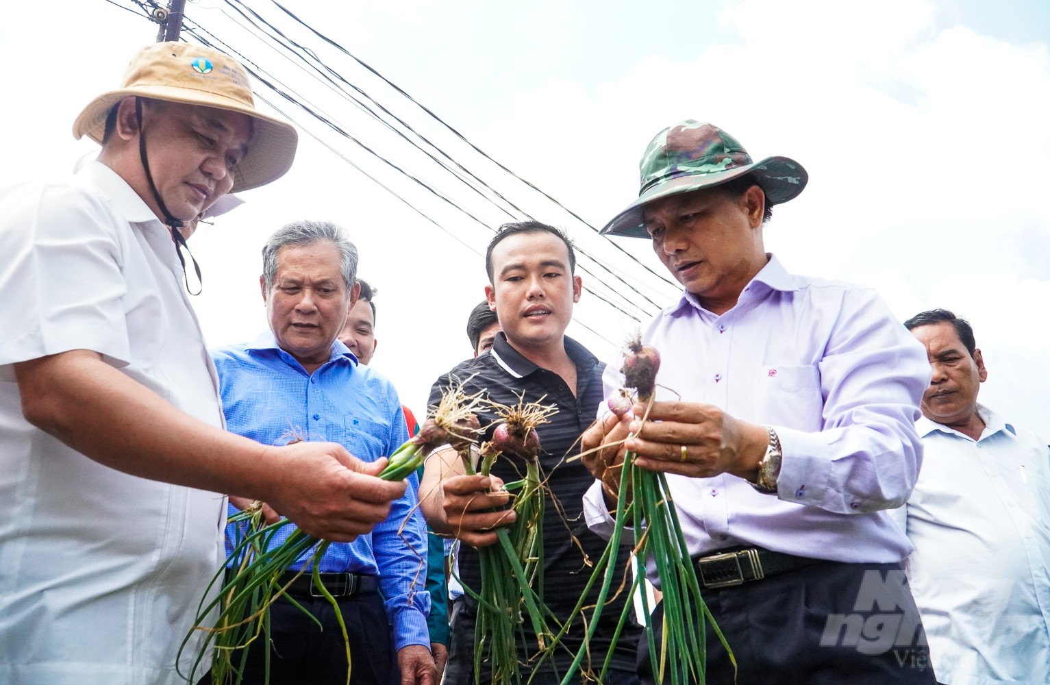 According to Soc Trang Provincial Planning, the agricultural sector is focused on developing in an ecological, organic, circular, and low-carbon emission direction. Photo: Kim Anh.
