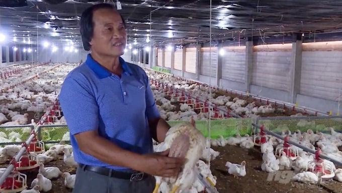 The Long Thanh Phat High-Tech Agriculture Cooperative, located in Long Thanh district, stands as a distinguished exemplar within Dong Nai province's production linkage framework. Photo: MS.
