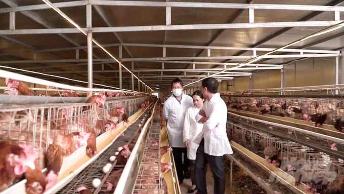 The establishment of these production linkages helps provinces and cities adhere to a standardized process, thereby ensuring the required quality standards and stable production volumes for their partners.