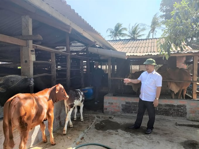 3-073256_614.jpg Nuôi bò ít tốn chi phí đầu vào hơn các loại vật nuôi khác, bởi con bò chủ yếu ăn thức ăn do người nuôi tự phối trộn, nên có giá thành thấp. Ảnh: V.Đ.T.