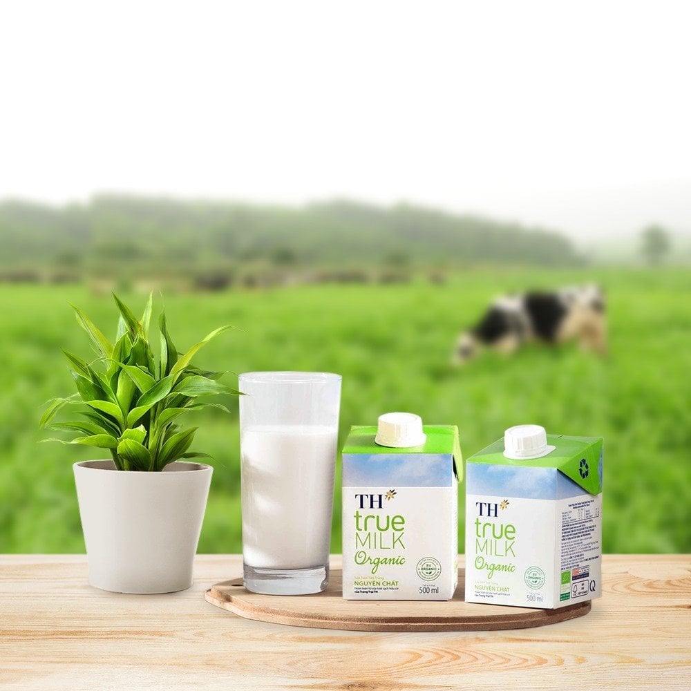 Control Union has recognized TH as an exemplary model for the development of organic agriculture in Vietnam.