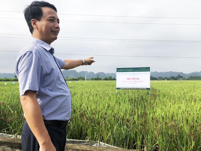 Ông Nguyễn Xuân Dũng - Phó Giám đốc Trung tâm Chuyển giao công nghệ và Khuyến nông chia sẻ với bà con nông dân về mô hình trồng lúa thảo dược. Ảnh: Thảo Phương.