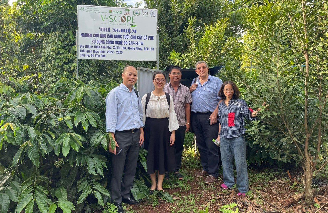 Các đại biểu thăm mô hình thí nghiệm nghiên cứu nhu cầu nước tưới cho cây cà phê sử dụng công nghệ đo SAP-FLOW. Ảnh: Dự án V-SCOPE.
