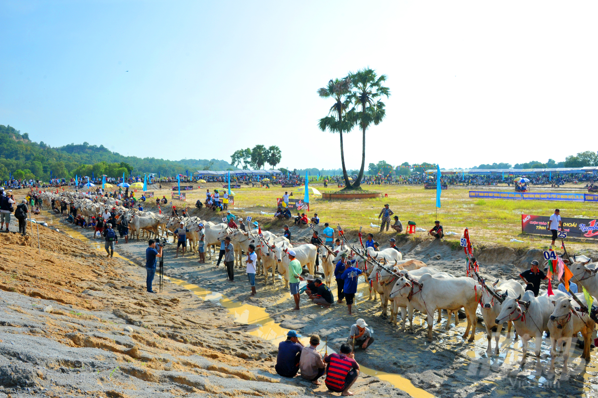 anh-1-162139_651-162140.jpg Ngày 14/10, Hội đua bò Bảy Núi tranh cúp Truyền hình An Giang lần thứ 28 năm 2023 diễn ra tại Khu Thể thao Du lịch Tà Pạ - Soài Chek (huyện Tri Tôn – An Giang). Hoạt động do Sở Văn hóa, Thể thao và Du lịch, Đài Phát thanh Truyền hình Anh Giang và UBND huyện Tri Tôn tổ chức, nhân dịp lễ Sene Dolta (lễ cúng ông bà) của đồng bào Khmer Nam bộ.