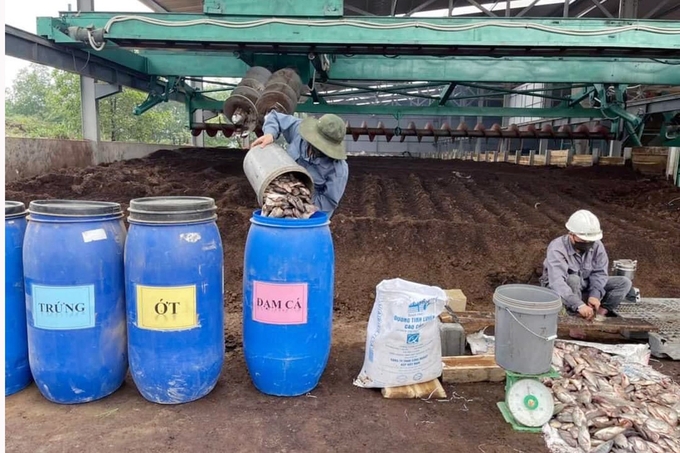 A strict rice cultivation and care process can produce high-quality products suitable for export. Photo: Vo Dung.