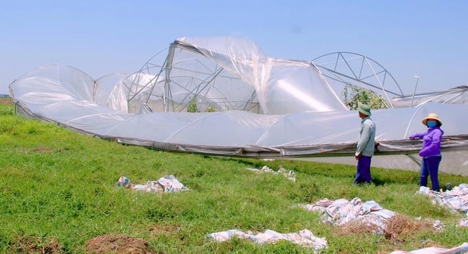 Một nhà màng ở xã Nghi Liên (TP Vinh, Nghệ An) bị đổ sập do mưa to, gió lốc hồi đầu tháng 5/2021. Ảnh: Quang An.