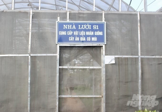 The 3-level breeding net house system of the Hoa Binh Center for Plant, Animal, and Seafood Seeds is ready to provide a disease-free seed source for replanting orange trees in the province. Photo: Trung Quan.